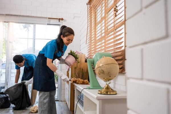 Regularly office cleaning
